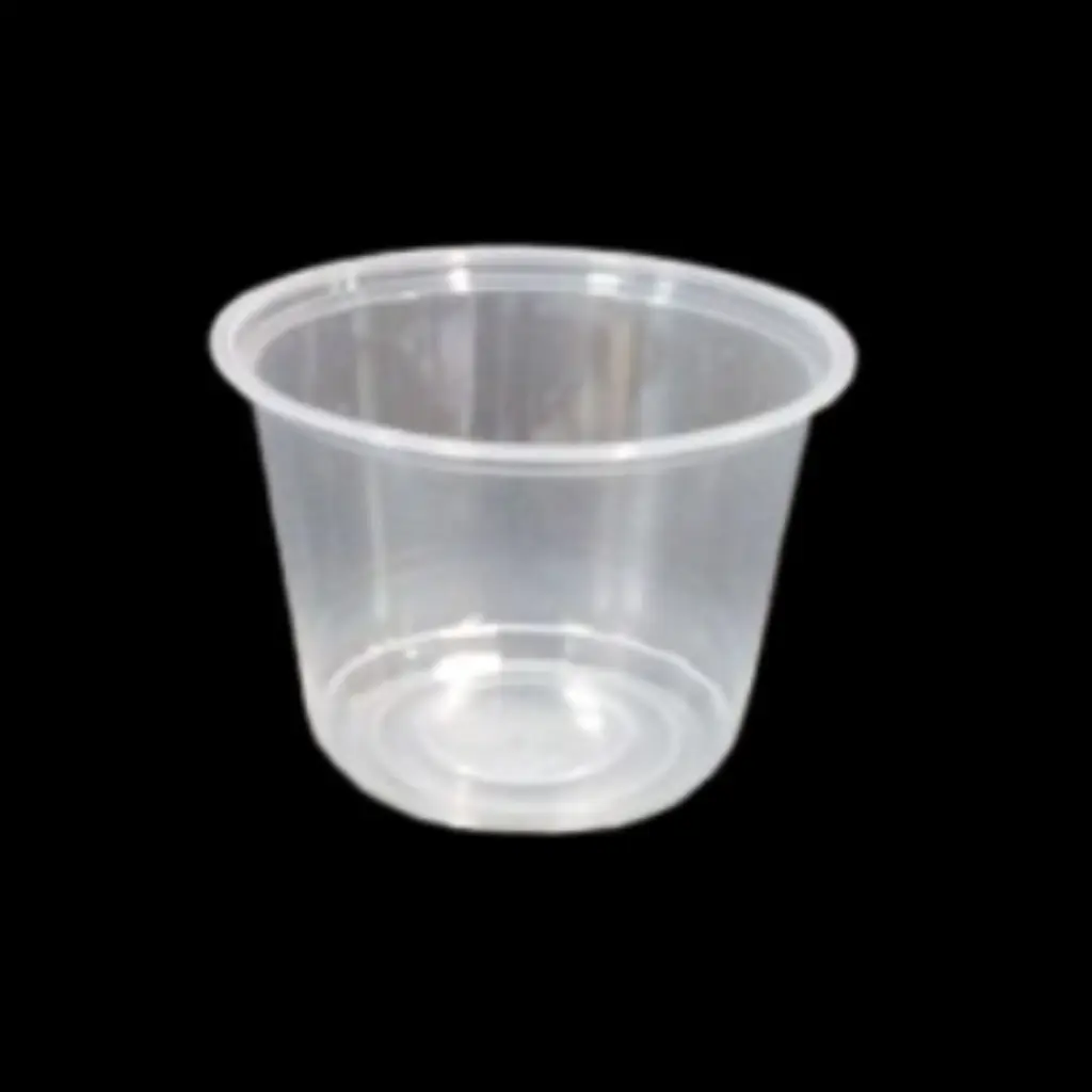 Deli container base clear 24oz 500/cs