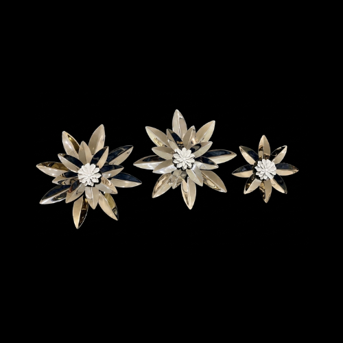 [292] Ornament Aster