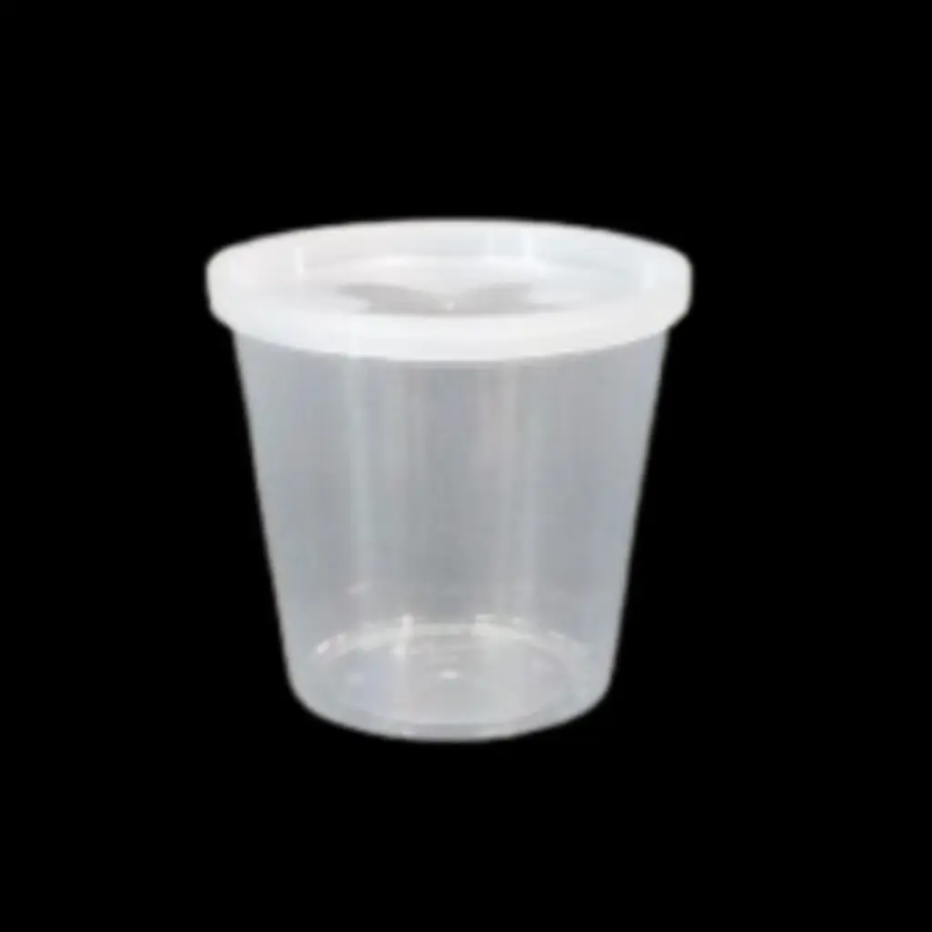 Deli container set frosted 32oz 240/cs