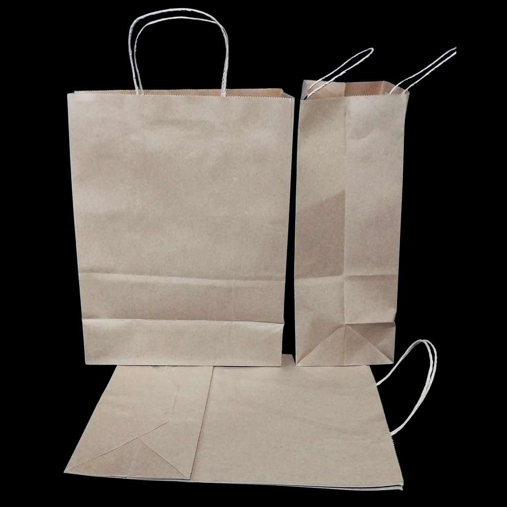 Brown paper bag handle 10"x5"x13" 250/cs