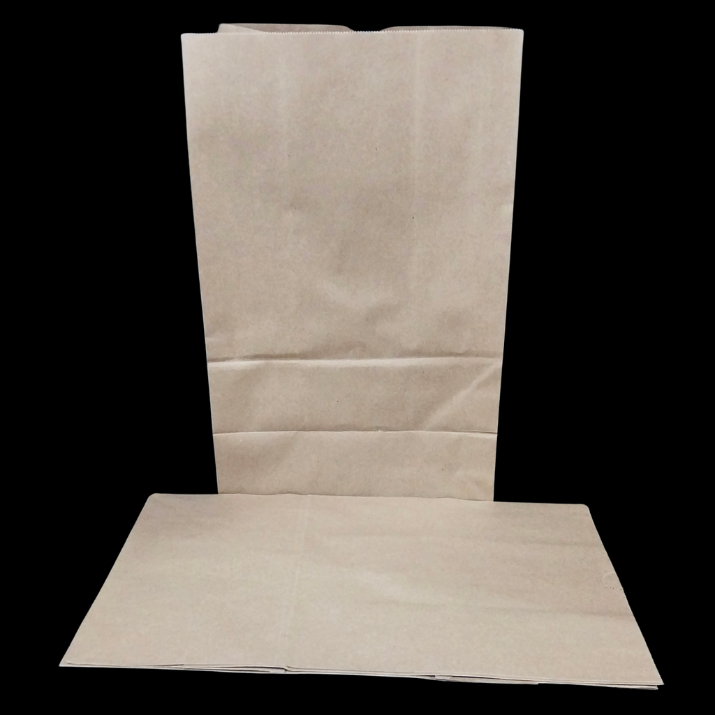 Brown paper bag 10"x6"x16" 500/cs