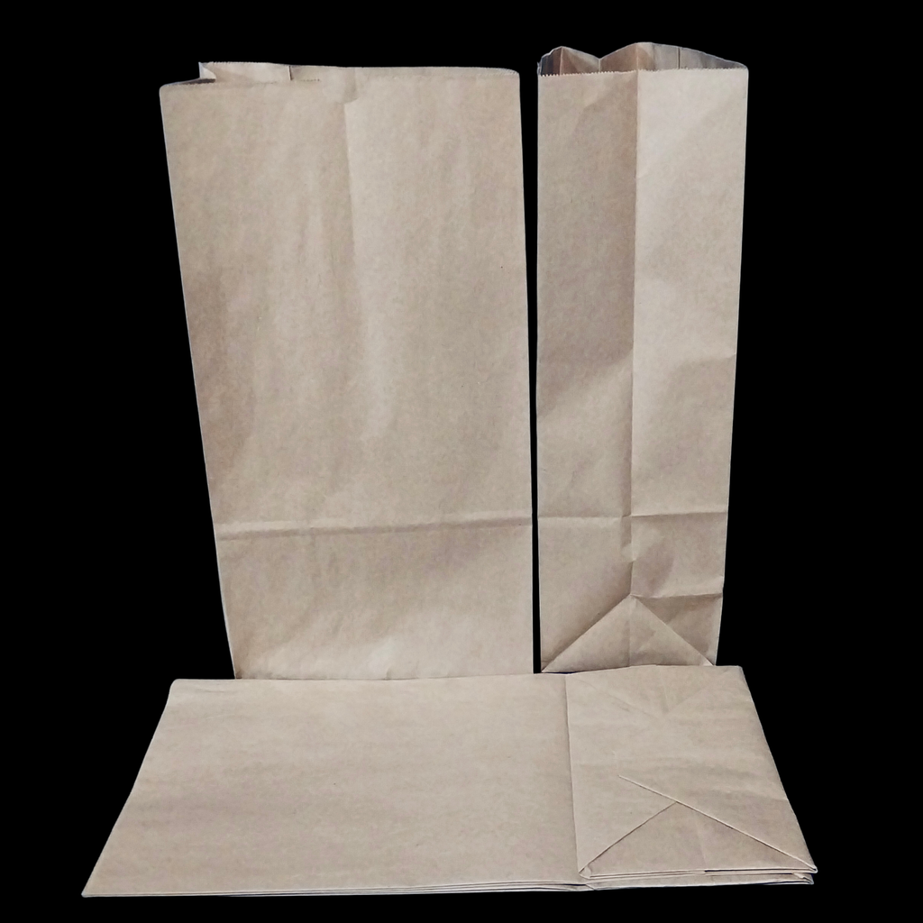 Brown paper bag 20lb 500/cs