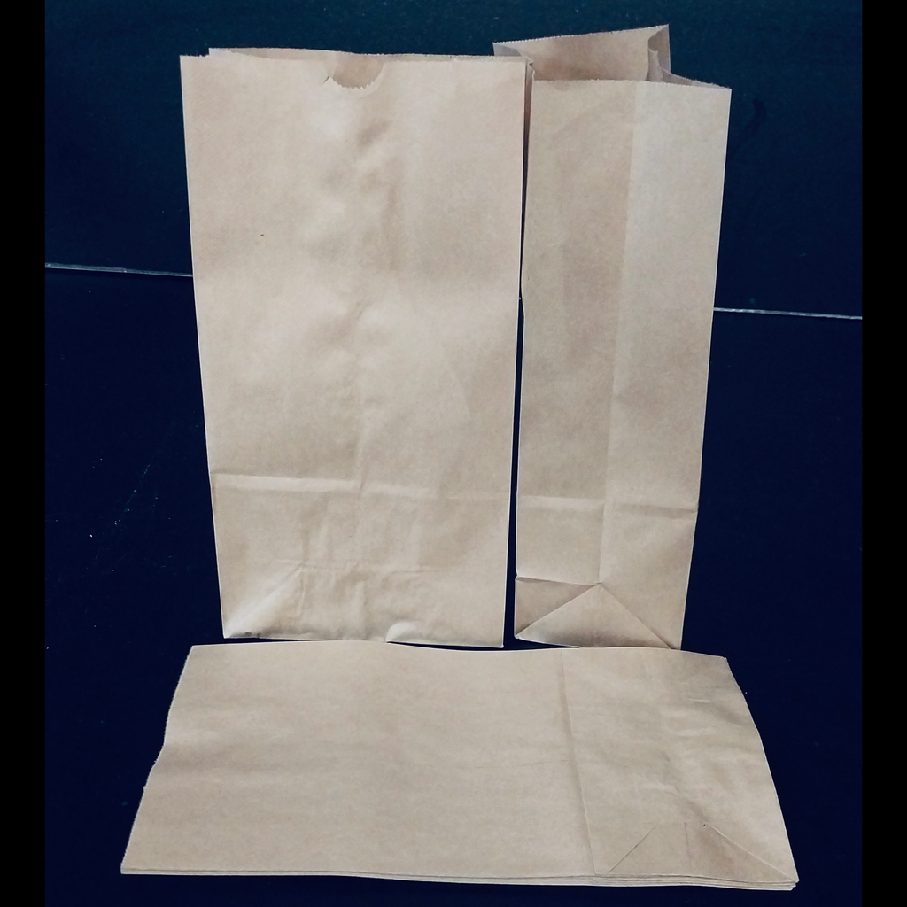 Brown paper bag 6lb 500/cs